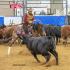 Volunteer Ranch Horse Show